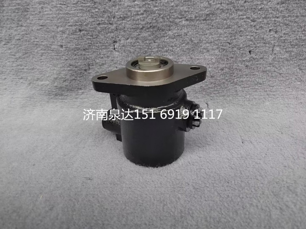 重汽豪沃豪曼悍將王牌統(tǒng)帥輕卡轉(zhuǎn)向泵助力泵液壓油泵/LG9704471140