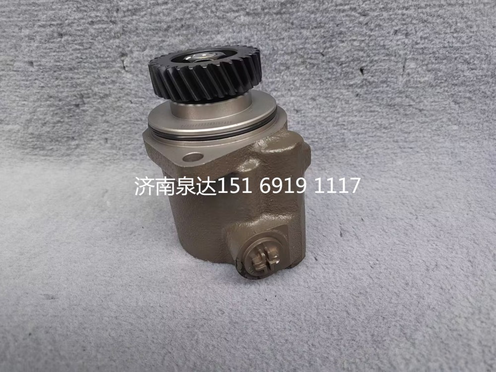 重汽豪沃豪曼悍將王牌統(tǒng)帥輕卡助力泵轉(zhuǎn)向泵液壓油泵/LG9704471923