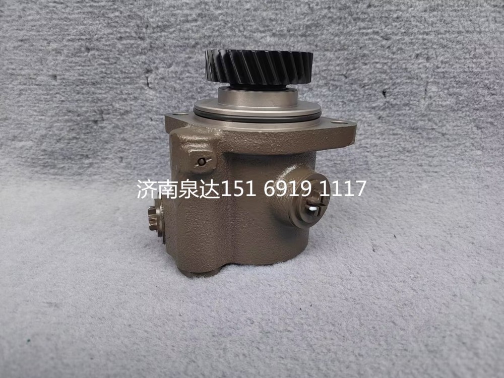 重汽豪沃豪曼悍將王牌統(tǒng)帥輕卡助力泵轉(zhuǎn)向泵液壓油泵/LG9716471923