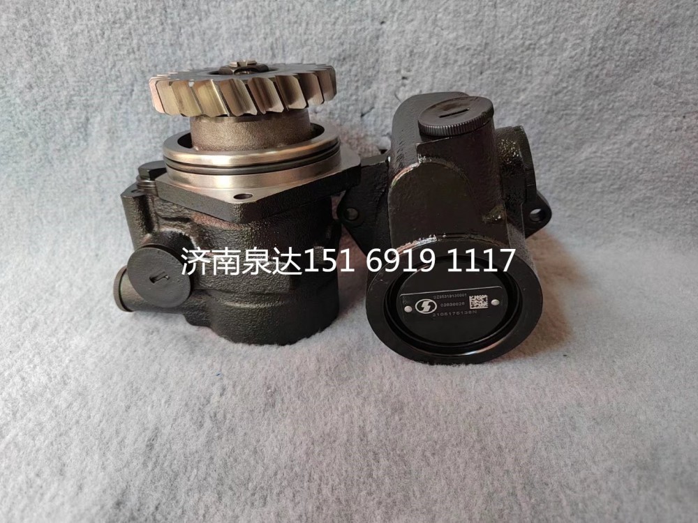 DZ95319130001,轉(zhuǎn)向助力泵,濟南泉達汽配有限公司
