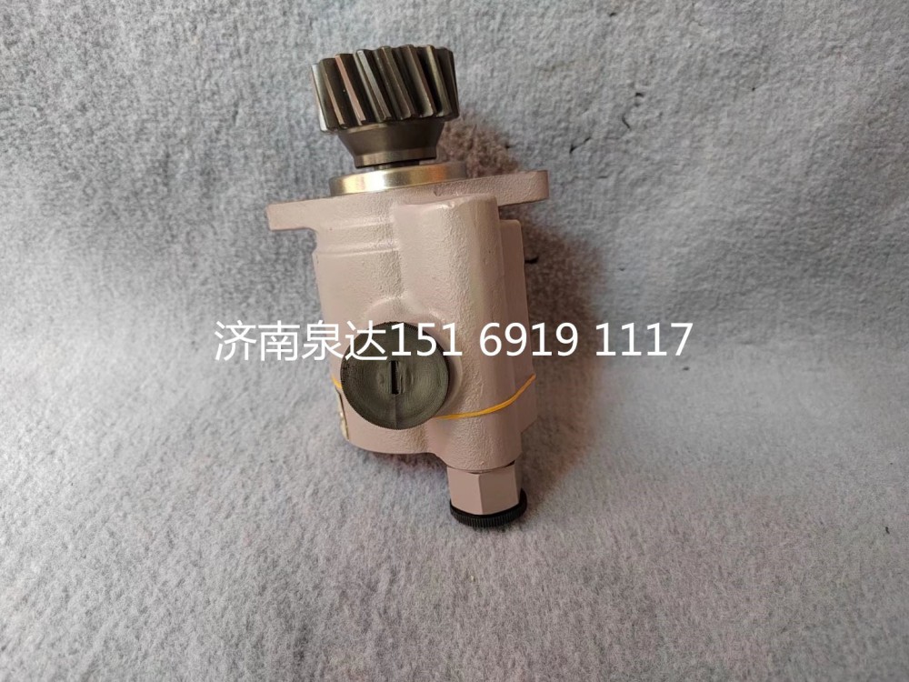 612600130149,轉(zhuǎn)向助力泵,濟(jì)南泉達(dá)汽配有限公司