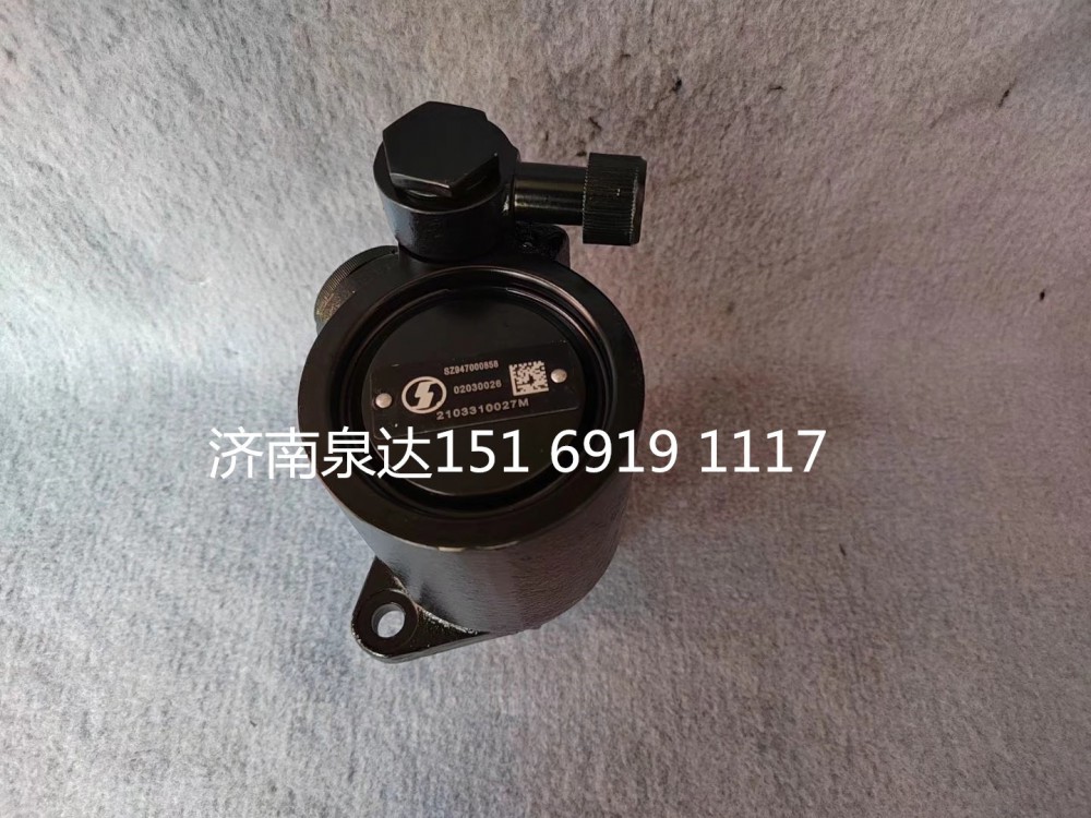 SZ947000858,轉(zhuǎn)向助力泵,濟南泉達汽配有限公司