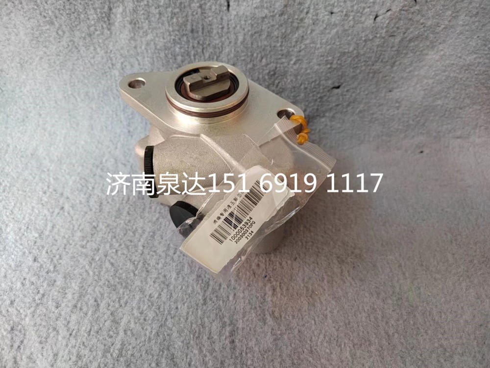 1000053934,轉(zhuǎn)向助力泵,濟(jì)南泉達(dá)汽配有限公司