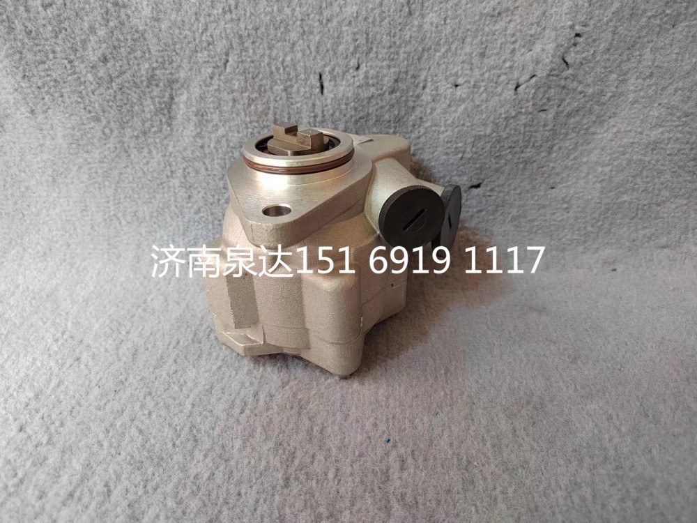 1000053934,轉(zhuǎn)向助力泵,濟(jì)南泉達(dá)汽配有限公司