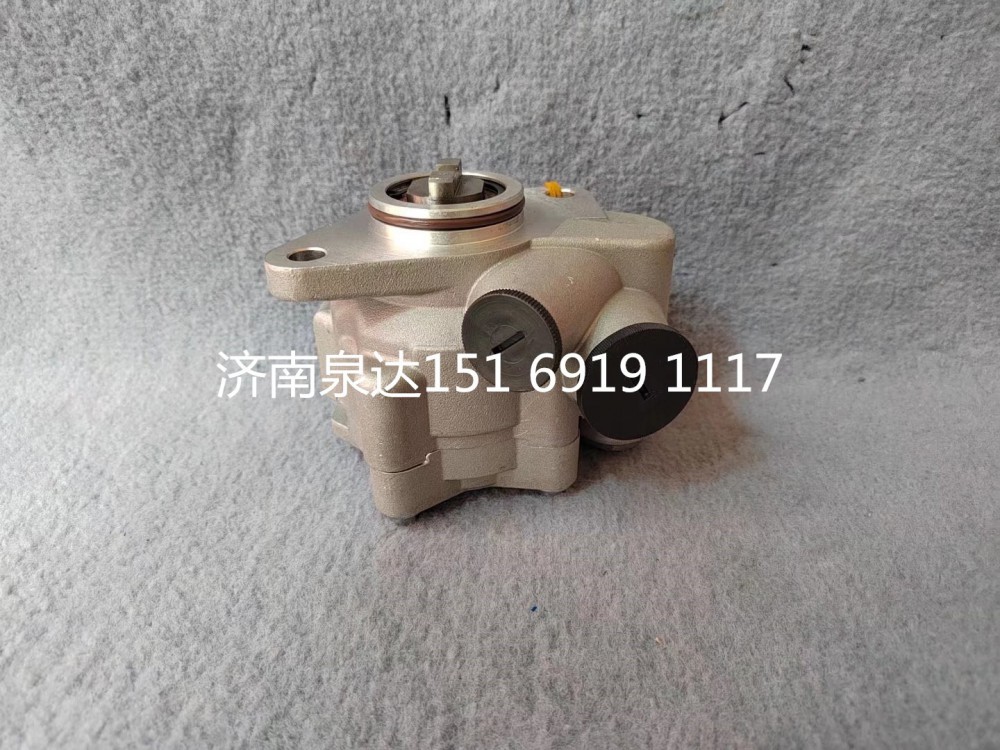1000053934,轉(zhuǎn)向助力泵,濟(jì)南泉達(dá)汽配有限公司