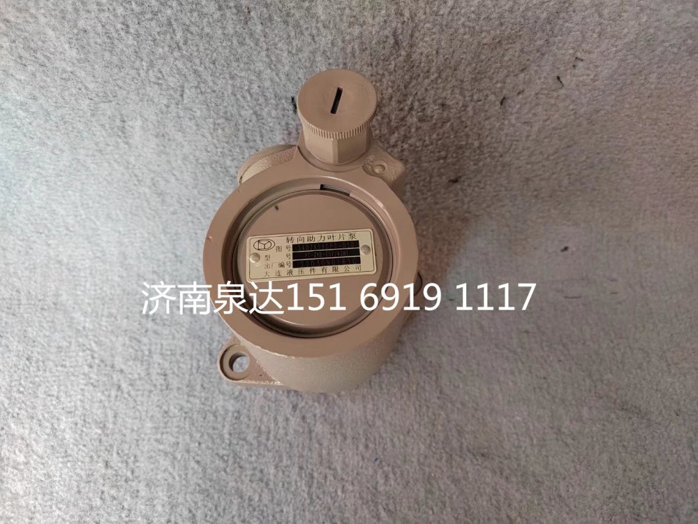 3407A59DP3-010,轉(zhuǎn)向助力泵,濟(jì)南泉達(dá)汽配有限公司