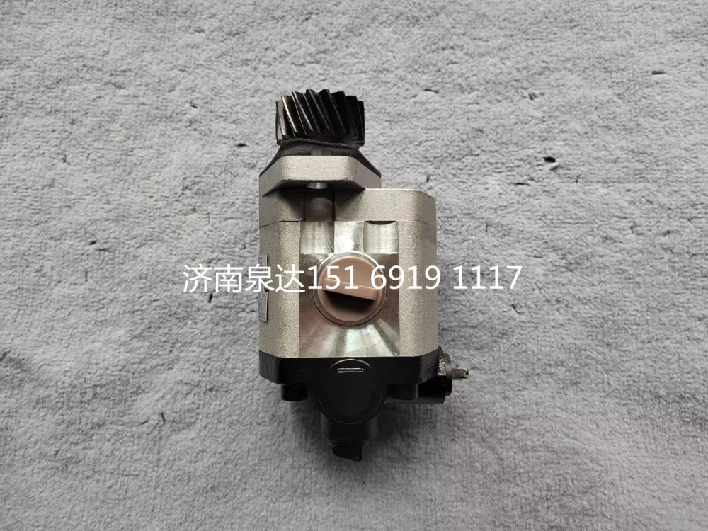 中聯(lián)重科浦沅起重機(jī)吊車轉(zhuǎn)向泵助力泵液壓泵齒輪泵/10323000027