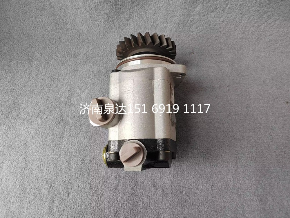 徐工卡車(chē)礦用車(chē)轉(zhuǎn)向泵齒輪油泵助力泵/NXG3407WLFW6B1-010