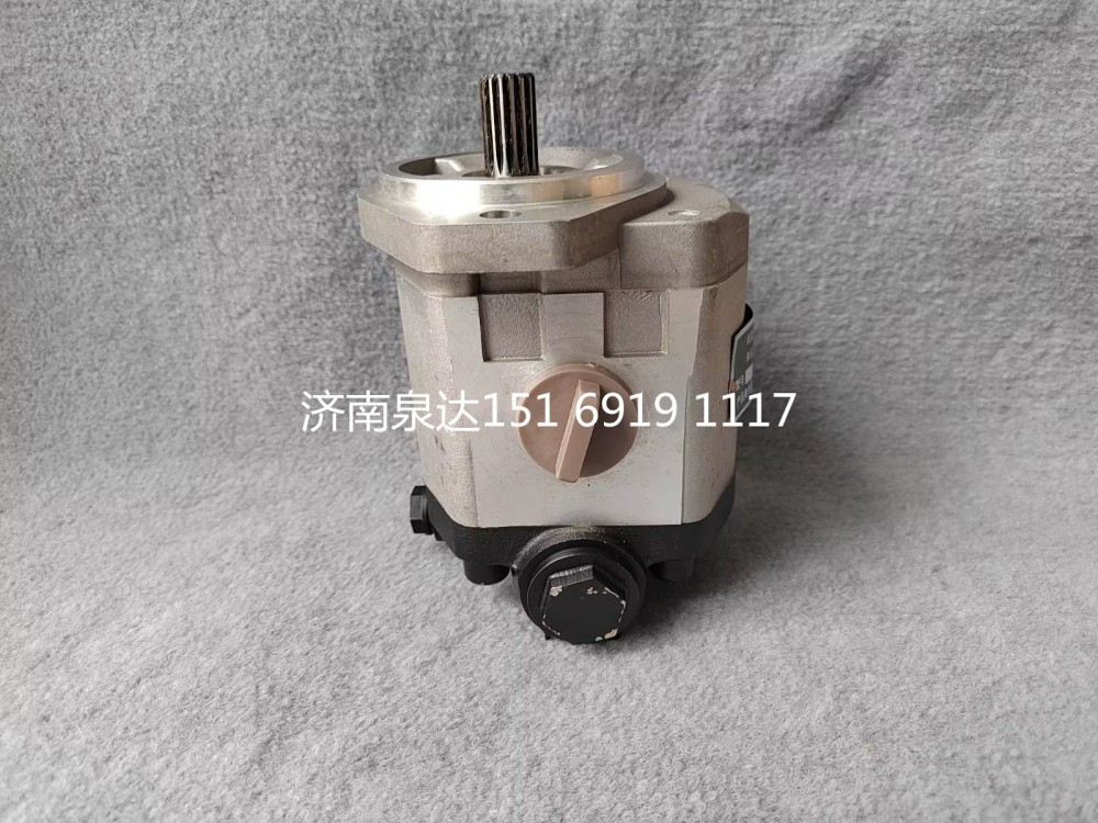 QC18/15-WP6,轉(zhuǎn)向助力泵,濟南泉達汽配有限公司