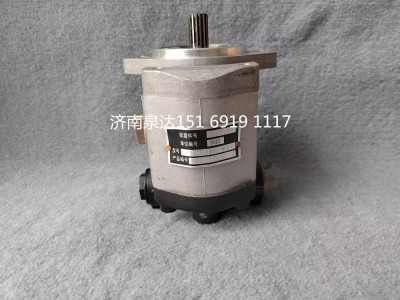 QC18/15-WP6,轉(zhuǎn)向助力泵,濟南泉達汽配有限公司