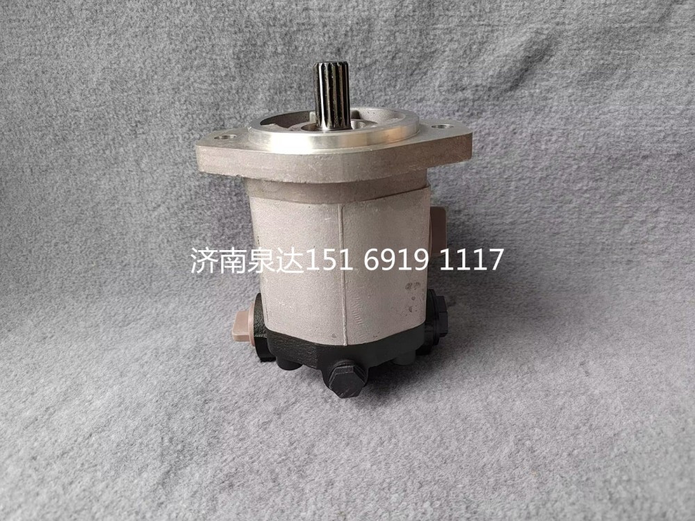QC18/15-WP6,轉(zhuǎn)向助力泵,濟南泉達汽配有限公司