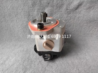 803006891,轉(zhuǎn)向助力泵,濟南泉達汽配有限公司