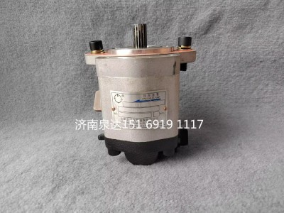 803006891,轉(zhuǎn)向助力泵,濟南泉達汽配有限公司