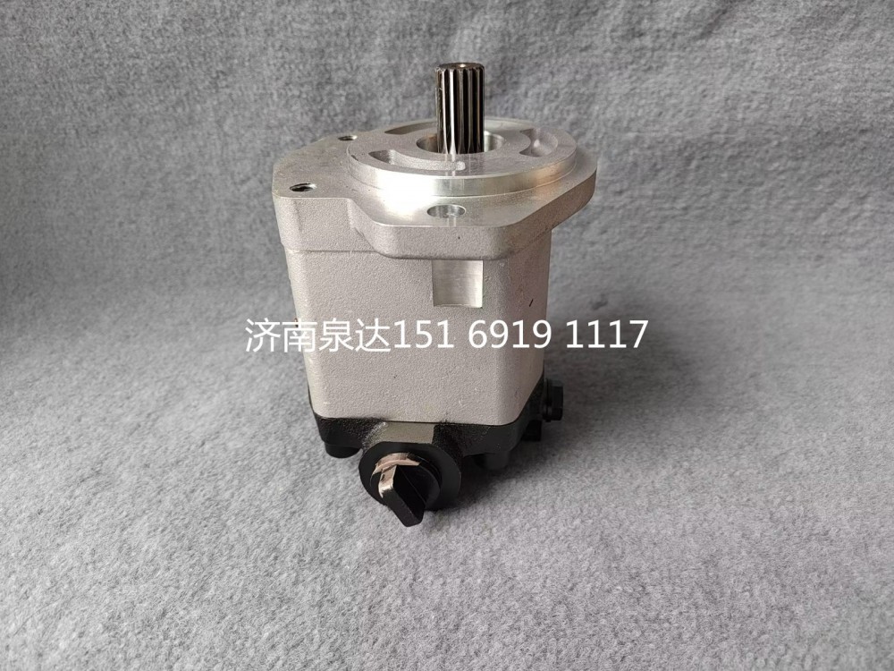 QC18/13-D14XZ,轉(zhuǎn)向助力泵,濟(jì)南泉達(dá)汽配有限公司