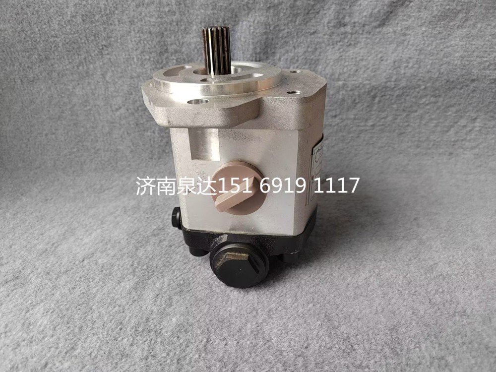 QC18/13-D14XZ,轉(zhuǎn)向助力泵,濟(jì)南泉達(dá)汽配有限公司