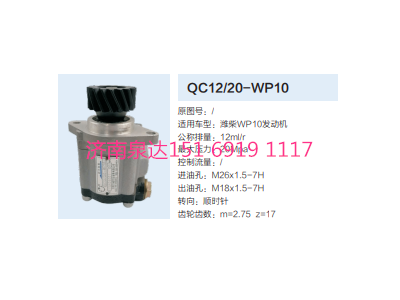 QC12/20-WP10,動力轉(zhuǎn)向齒輪泵,濟南泉達汽配有限公司