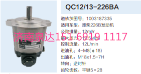 QC12/13-226BA,動(dòng)力轉(zhuǎn)向齒輪泵,濟(jì)南泉達(dá)汽配有限公司