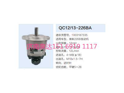 QC12/13-226BA,動(dòng)力轉(zhuǎn)向齒輪泵,濟(jì)南泉達(dá)汽配有限公司