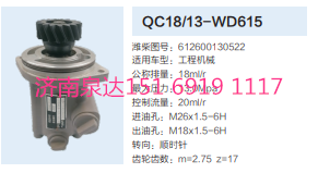612600130522,動力轉(zhuǎn)向齒輪泵,濟南泉達汽配有限公司