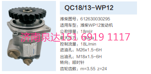 QC18/13-WP12,動力轉(zhuǎn)向齒輪泵,濟南泉達汽配有限公司