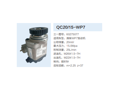 60275077,動力轉(zhuǎn)向齒輪泵,濟(jì)南泉達(dá)汽配有限公司