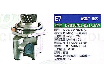 WG9725478037/1,轉向助力泵,濟南泉達汽配有限公司