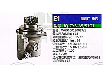 WG9100130037,轉(zhuǎn)向助力泵,濟(jì)南泉達(dá)汽配有限公司