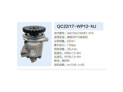 QC22/17-WP12-NJ,轉(zhuǎn)向助力泵,濟南泉達汽配有限公司