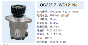 QC22/17-WD12-NJ,轉(zhuǎn)向助力泵,濟南泉達汽配有限公司