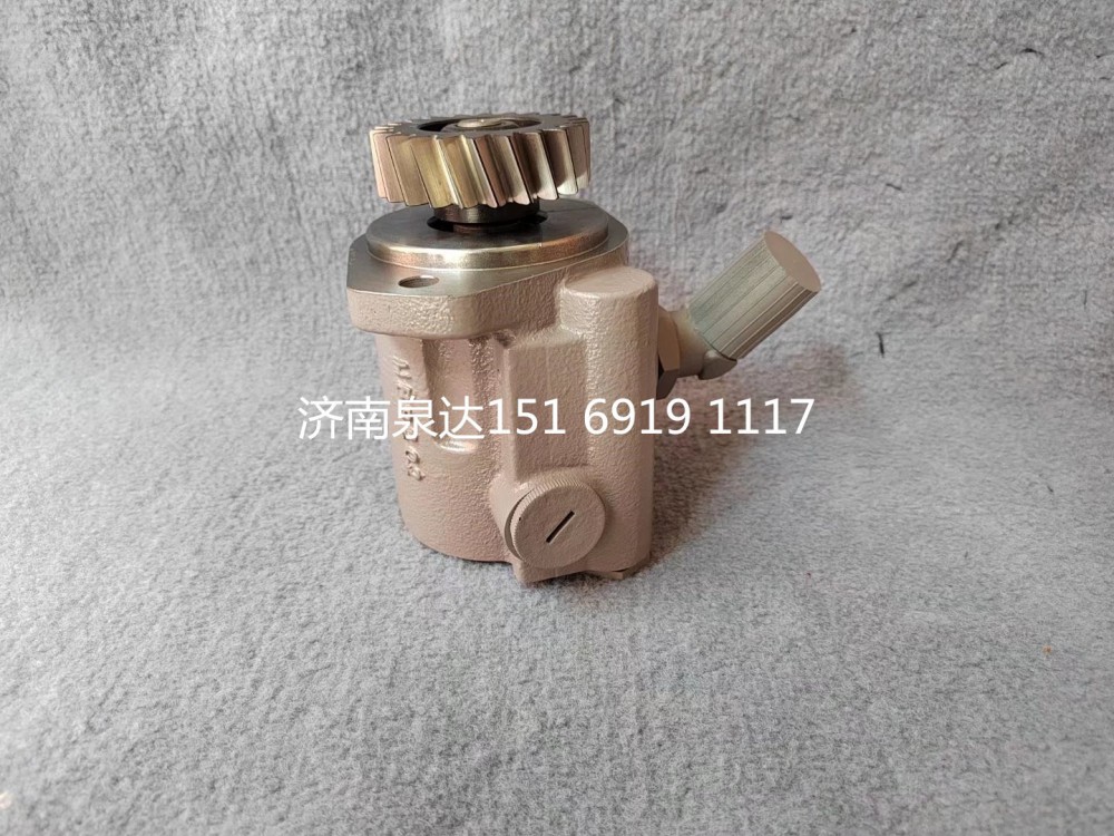 1001782975,轉(zhuǎn)向助力泵,濟(jì)南泉達(dá)汽配有限公司