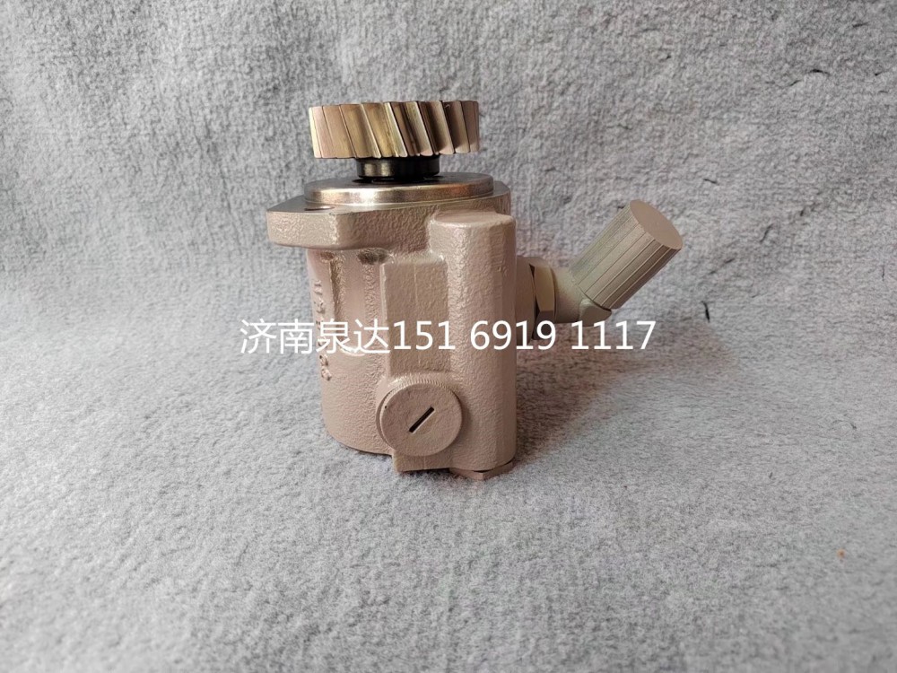 1001782975,轉(zhuǎn)向助力泵,濟(jì)南泉達(dá)汽配有限公司
