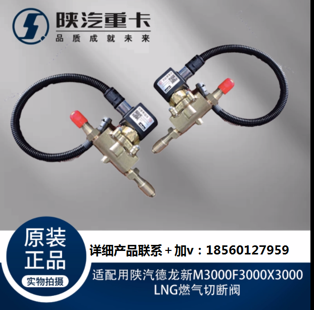 適用于陜汽德龍新M3000F3000X3000LNG燃?xì)馇袛嚅y原廠全車配件大全/