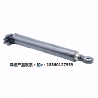 適配德龍新M3000X3000F3000駕駛室翻轉(zhuǎn)舉升缸油泵原廠全車配件