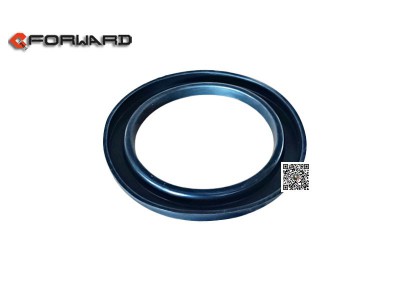 4010-3,Caliper piston dust ring,濟(jì)南向前汽車配件有限公司