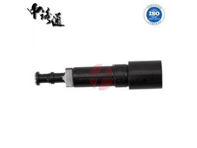 Raba D2156,適配于Raba D2156柴油發(fā)動機柱塞,莆田市昌立科技有限公司