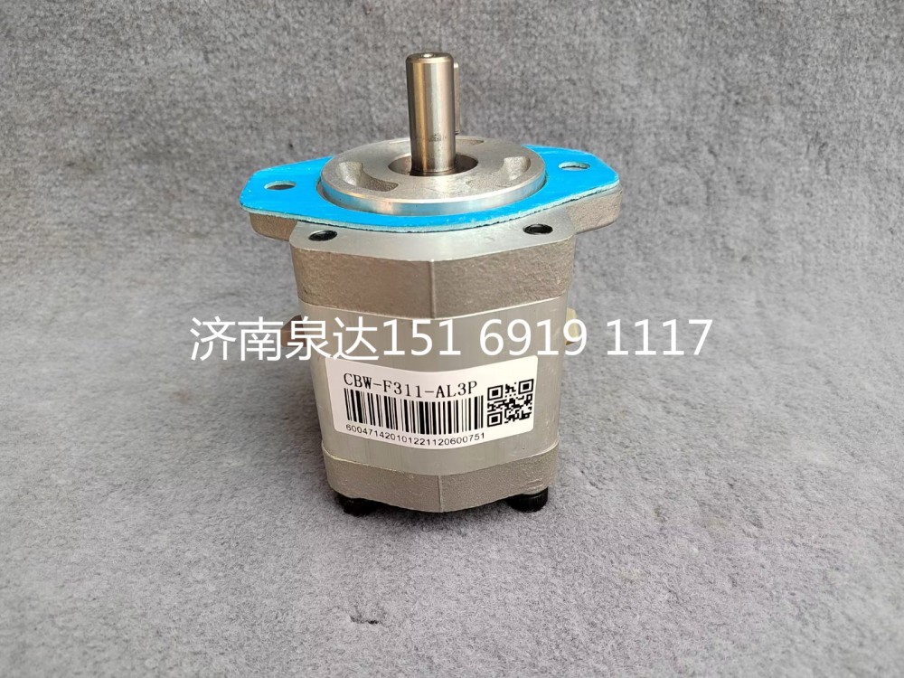轉(zhuǎn)向泵助力泵液壓齒輪油泵液壓泵/CBW-F312-AL3P