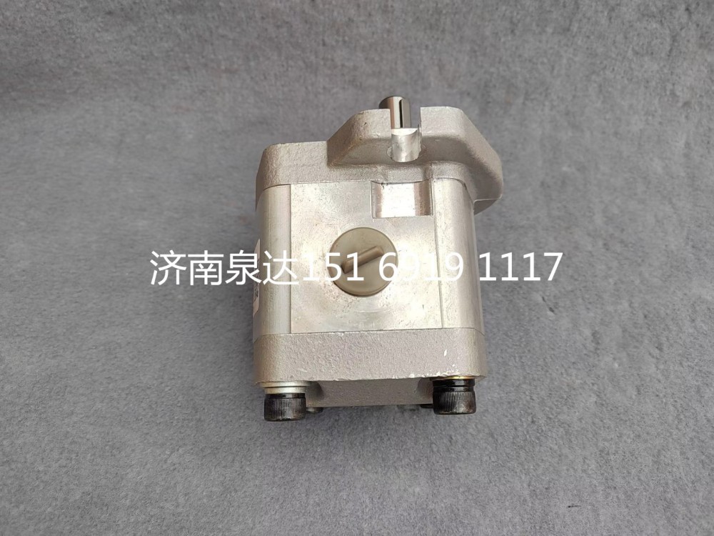 轉(zhuǎn)向泵助力泵液壓齒輪油泵液壓泵/CBW-F312-AL3P