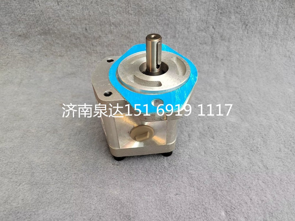 轉(zhuǎn)向泵助力泵液壓齒輪油泵液壓泵/CBW-F312-AL3P