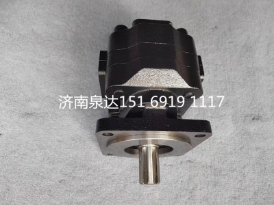 804019945,齒輪泵,濟南泉達汽配有限公司