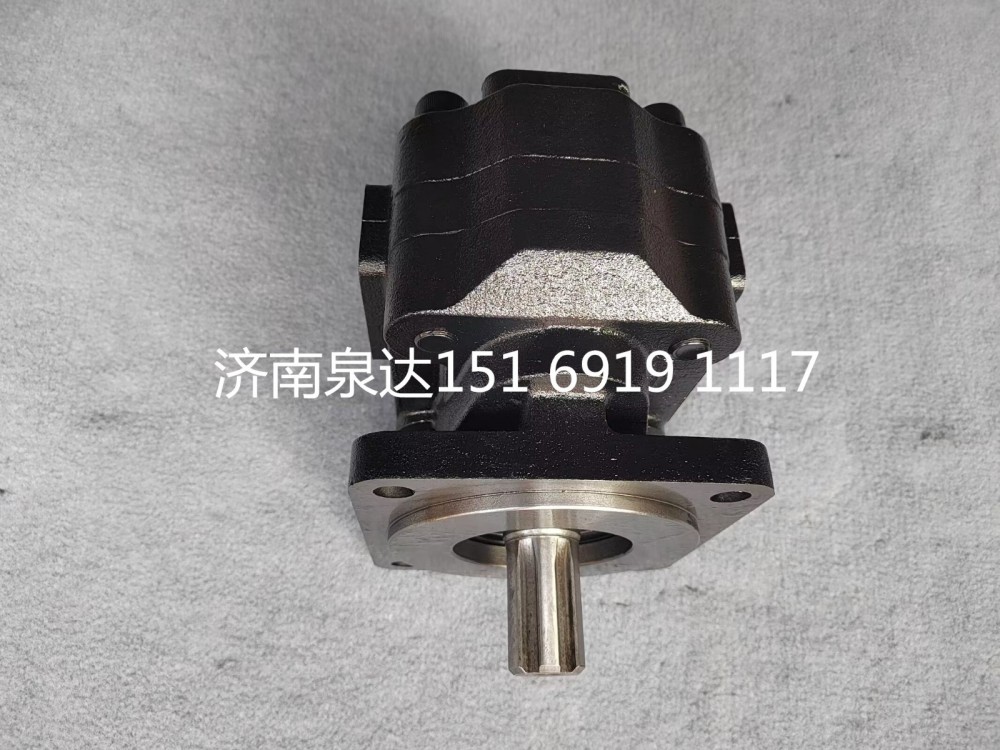 331404099,齒輪泵,濟南泉達汽配有限公司
