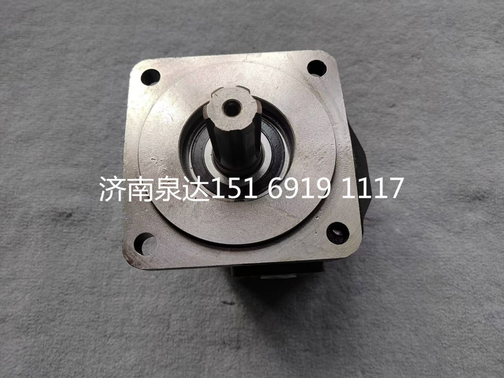 331404099,齒輪泵,濟南泉達汽配有限公司
