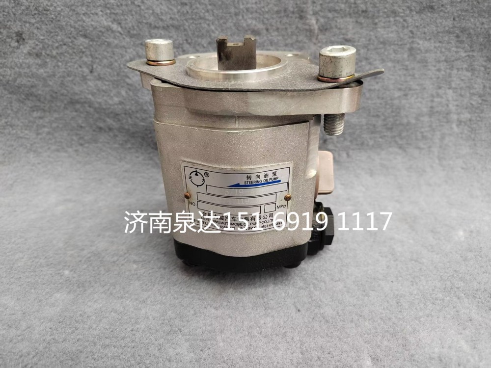 重汽特種車動力轉(zhuǎn)向泵液壓泵助力泵齒輪泵齒輪油泵/QC25/19-A3008