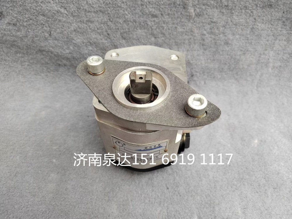重汽特種車動力轉(zhuǎn)向泵液壓泵助力泵齒輪泵齒輪油泵/TG25074711925