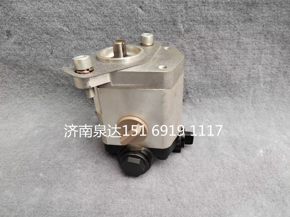 重汽特種車動力轉(zhuǎn)向泵液壓泵助力泵齒輪泵齒輪油泵/TG25074711925