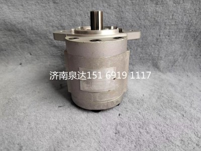 D52-000-07+C,轉(zhuǎn)向助力泵,濟南泉達汽配有限公司