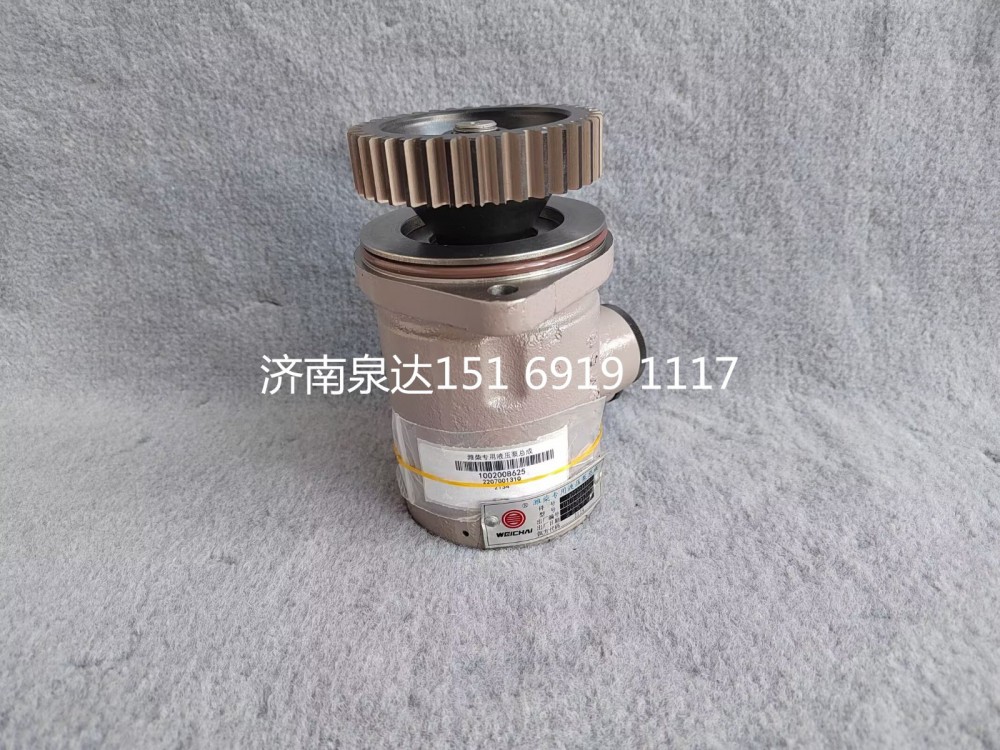1002008625,轉(zhuǎn)向助力泵,濟(jì)南泉達(dá)汽配有限公司