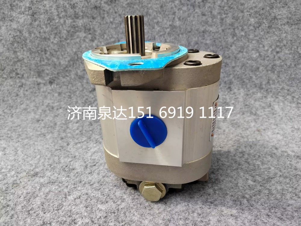 三一起重機(jī)吊車(chē)轉(zhuǎn)向齒輪油泵轉(zhuǎn)向泵助力泵液壓泵/QC40/17-HR-SY