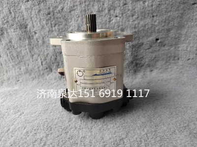 QC25/19-A3008,轉向助力泵,濟南泉達汽配有限公司