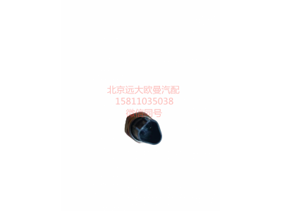 H0366080008A0,發(fā)動機(jī)副熄火開關(guān),北京遠(yuǎn)大汽車配件有限公司