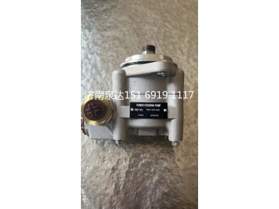 7684955955,轉(zhuǎn)向助力泵,濟南泉達汽配有限公司